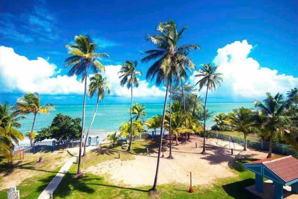 3Bedrm Beach Penthouse With Rooftop Terrace & Wifi 里奥格兰德 外观 照片